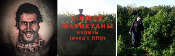 прущие крисы Пестово
