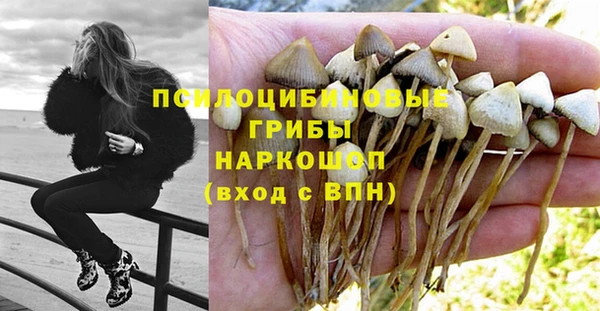 амф Переславль-Залесский