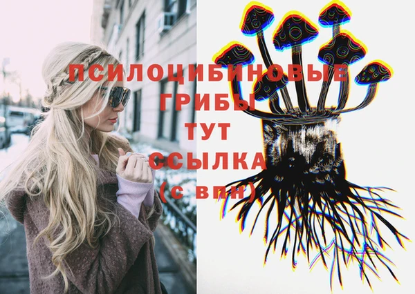 амф Переславль-Залесский