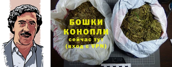 эйфоретик Пересвет