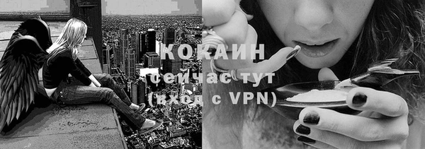 амф Переславль-Залесский