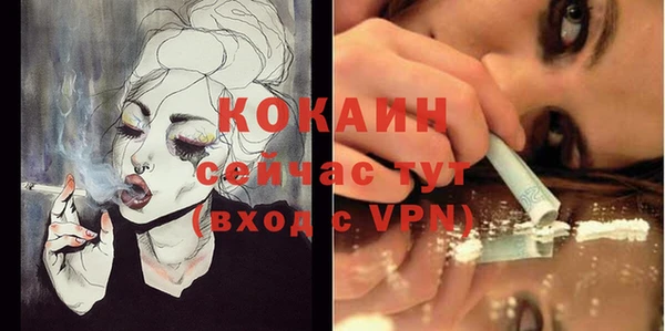 эйфоретик Пересвет