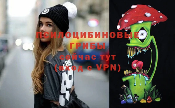 амф Переславль-Залесский