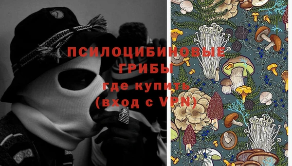 амф Переславль-Залесский