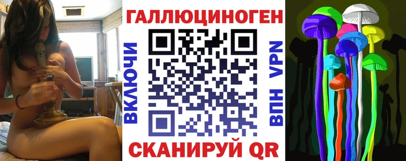 где продают наркотики  Кулебаки  Галлюциногенные грибы Psilocybine cubensis 