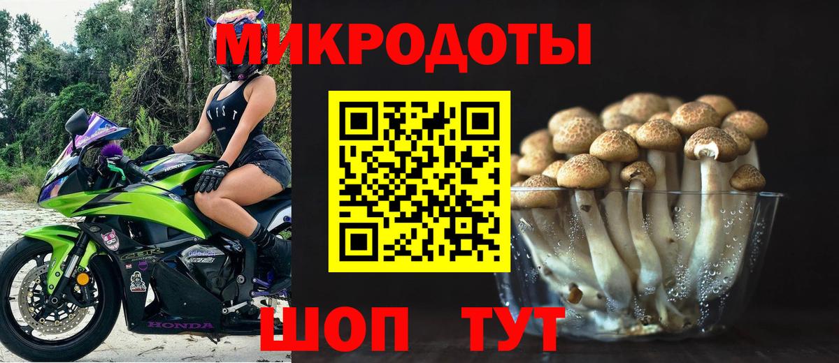Галлюциногенные грибы Psilocybine cubensis  Псилоцибиновые грибы ЛСД  Вход с VPN  Кулебаки 
